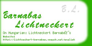 barnabas lichtneckert business card